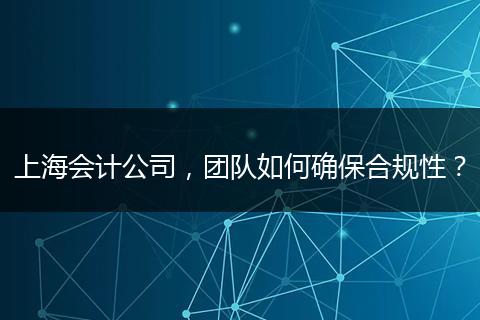 上海會(huì)計(jì)公司，團(tuán)隊(duì)如何確保合規(guī)性？
