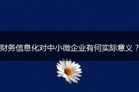 財(cái)務(wù)信息化對(duì)中小微企業(yè)有何實(shí)際意義？