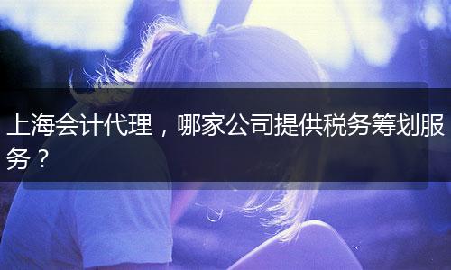上海會(huì)計(jì)代理，哪家公司提供稅務(wù)籌劃服務(wù)？