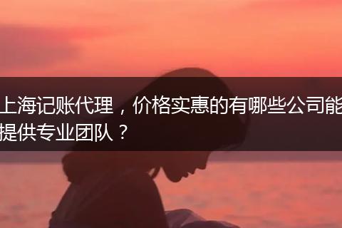 上海記賬代理，價格實惠的有哪些公司能提供專業(yè)團隊？
