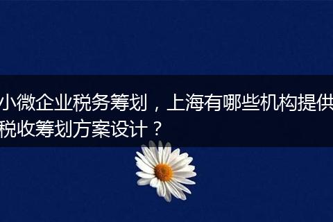 小微企業(yè)稅務籌劃，上海有哪些機構提供稅收籌劃方案設計？