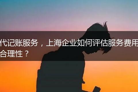 代記賬服務(wù)，上海企業(yè)如何評(píng)估服務(wù)費(fèi)用合理性？