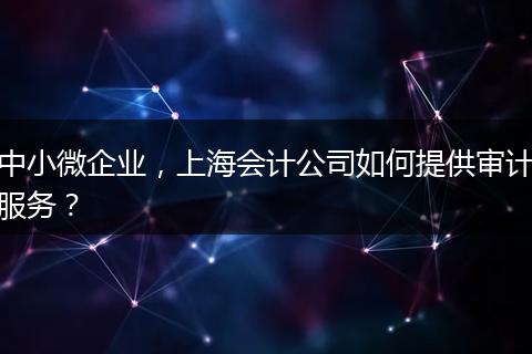 中小微企業(yè)，上海會計公司如何提供審計服務？
