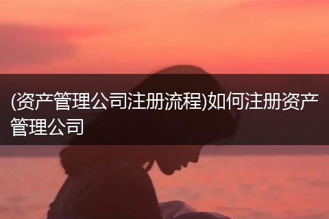(資產(chǎn)管理公司注冊流程)如何注冊資產(chǎn)管理公司