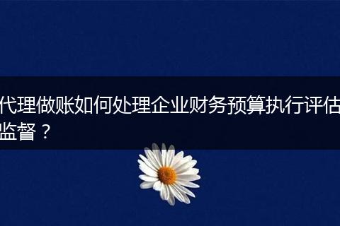 代理做賬如何處理企業(yè)財務預算執(zhí)行評估監(jiān)督？