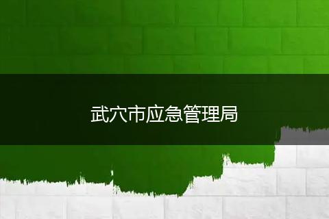 武穴市應(yīng)急管理局