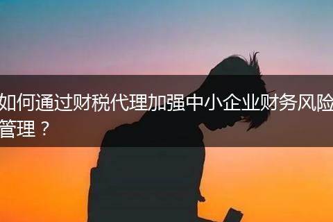 如何通過(guò)財(cái)稅代理加強(qiáng)中小企業(yè)財(cái)務(wù)風(fēng)險(xiǎn)管理？