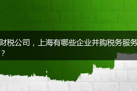 財(cái)稅公司，上海有哪些企業(yè)并購稅務(wù)服務(wù)？