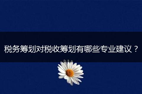 稅務(wù)籌劃對(duì)稅收籌劃有哪些專業(yè)建議？