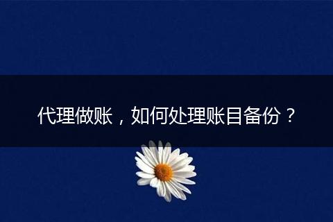 代理做賬，如何處理賬目備份？