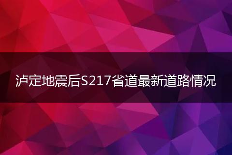 瀘定地震后S217省道最新道路情況
