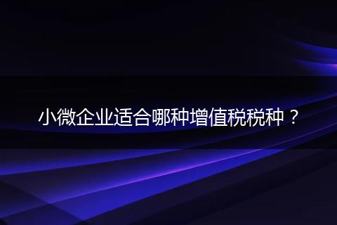 小微企業(yè)適合哪種增值稅稅種？