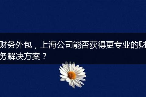 財(cái)務(wù)外包，上海公司能否獲得更專業(yè)的財(cái)務(wù)解決方案？