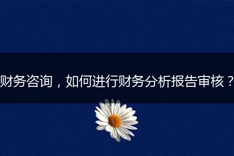 財務(wù)咨詢，如何進(jìn)行財務(wù)分析報告審核？