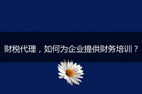 財稅代理，如何為企業(yè)提供財務(wù)培訓(xùn)？