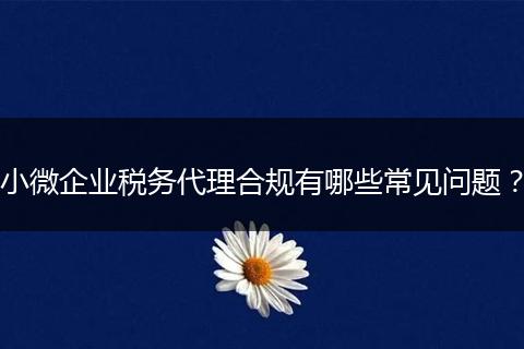 小微企業(yè)稅務代理合規(guī)有哪些常見問題?