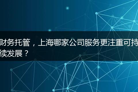 財務(wù)托管，上海哪家公司服務(wù)更注重可持續(xù)發(fā)展？