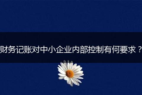 財務記賬對中小企業(yè)內部控制有何要求？