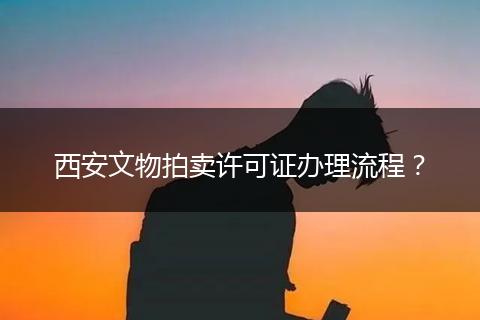 西安文物拍賣許可證辦理流程？