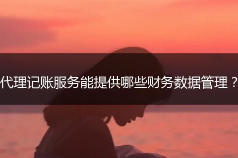 代理記賬服務(wù)能提供哪些財務(wù)數(shù)據(jù)管理?