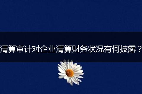 清算審計(jì)對(duì)企業(yè)清算財(cái)務(wù)狀況有何披露？