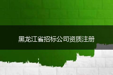 黑龍江省招標公司資質(zhì)注冊