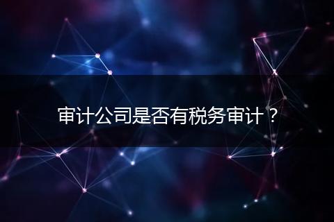 審計公司是否有稅務(wù)審計？