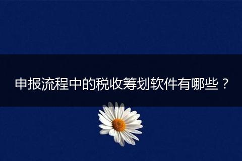 申報流程中的稅收籌劃軟件有哪些？