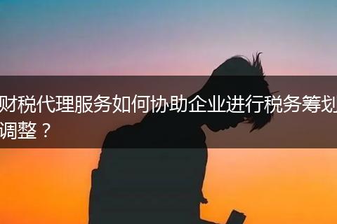 財稅代理服務(wù)如何協(xié)助企業(yè)進行稅務(wù)籌劃調(diào)整？