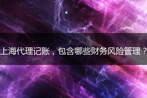 上海代理記賬，包含哪些財(cái)務(wù)風(fēng)險(xiǎn)管理？