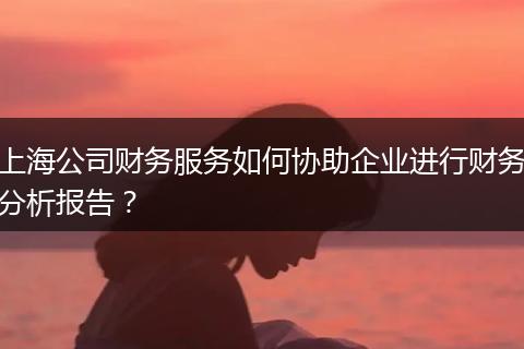 上海公司財務(wù)服務(wù)如何協(xié)助企業(yè)進行財務(wù)分析報告？