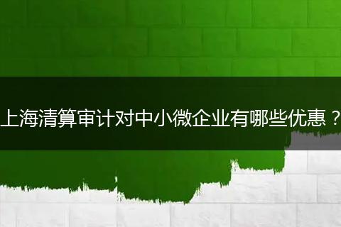 上海清算審計(jì)對中小微企業(yè)有哪些優(yōu)惠？
