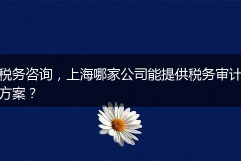 稅務咨詢，上海哪家公司能提供稅務審計方案？