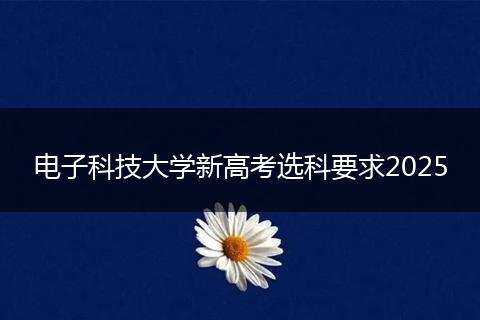 電子科技大學(xué)新高考選科要求2025