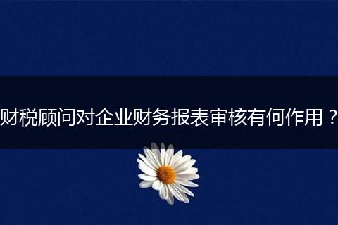 財(cái)稅顧問對企業(yè)財(cái)務(wù)報(bào)表審核有何作用？