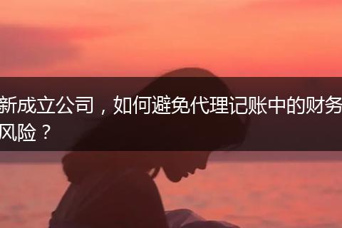 新成立公司，如何避免代理記賬中的財(cái)務(wù)風(fēng)險(xiǎn)？