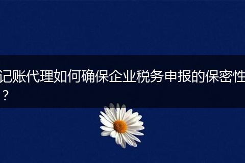 記賬代理如何確保企業(yè)稅務申報的保密性？