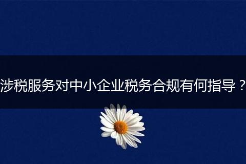 涉稅服務(wù)對中小企業(yè)稅務(wù)合規(guī)有何指導(dǎo)？