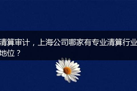 清算審計，上海公司哪家有專業(yè)清算行業(yè)地位？