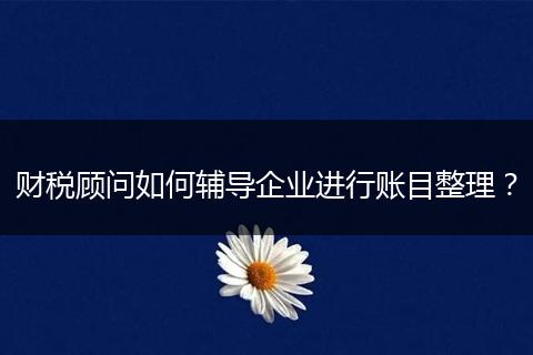 財(cái)稅顧問如何輔導(dǎo)企業(yè)進(jìn)行賬目整理?