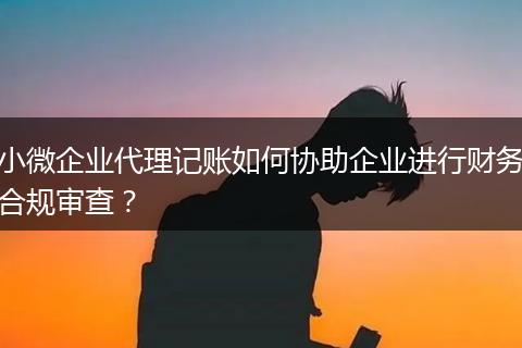 小微企業(yè)代理記賬如何協(xié)助企業(yè)進(jìn)行財務(wù)合規(guī)審查？