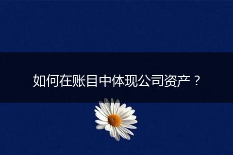 如何在賬目中體現(xiàn)公司資產(chǎn)？