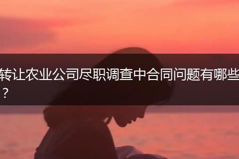 轉(zhuǎn)讓農(nóng)業(yè)公司盡職調(diào)查中合同問(wèn)題有哪些？