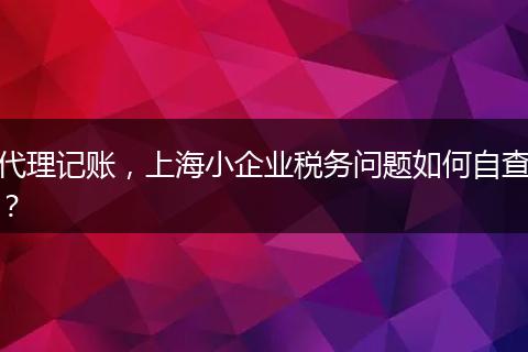 代理記賬，上海小企業(yè)稅務(wù)問題如何自查？