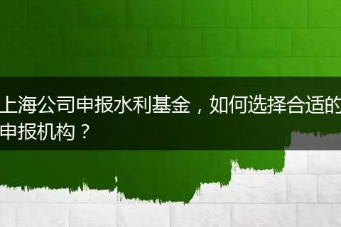 上海公司申報水利基金，如何選擇合適的申報機構(gòu)？