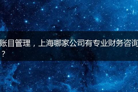 賬目管理，上海哪家公司有專業(yè)財(cái)務(wù)咨詢？