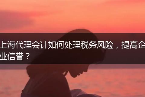 上海代理會計如何處理稅務風險，提高企業(yè)信譽？