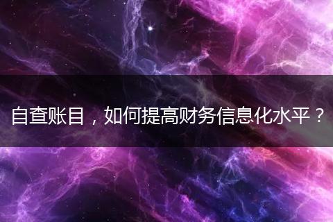 自查賬目，如何提高財(cái)務(wù)信息化水平？