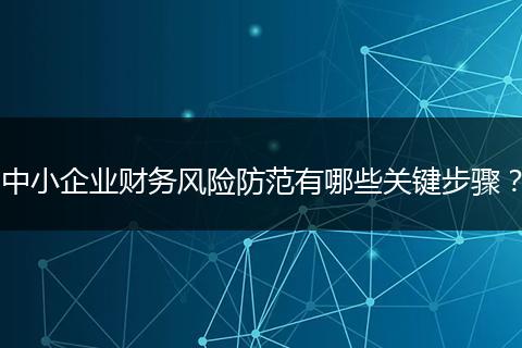 中小企業(yè)財(cái)務(wù)風(fēng)險(xiǎn)防范有哪些關(guān)鍵步驟？