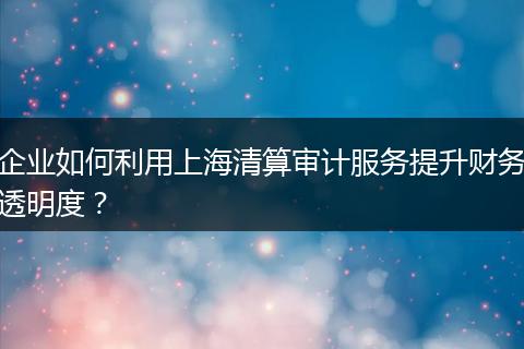 企業(yè)如何利用上海清算審計(jì)服務(wù)提升財(cái)務(wù)透明度?